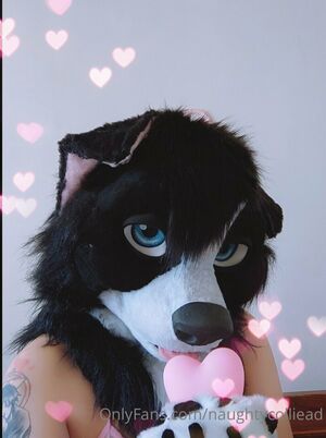 naughtycolliead leaks