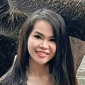 Ping Thai Free