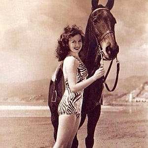 Susan Hayward Susan Hayward download