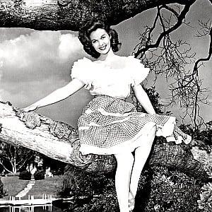 susan_hayward Edythe Marrenner download