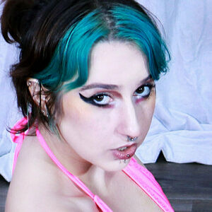 Vero Bunny